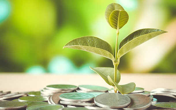 Енергийната ефективност е на мода